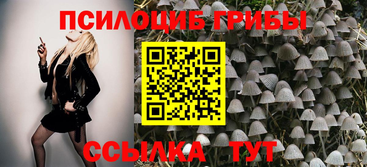 Ялуторовск  Псилоцибиновые грибы Magic Shrooms  Галлюциногенные грибы Cubensis  Вход с VPN 