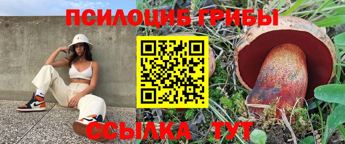 Псилоцибиновые грибы мухоморы Ялуторовск