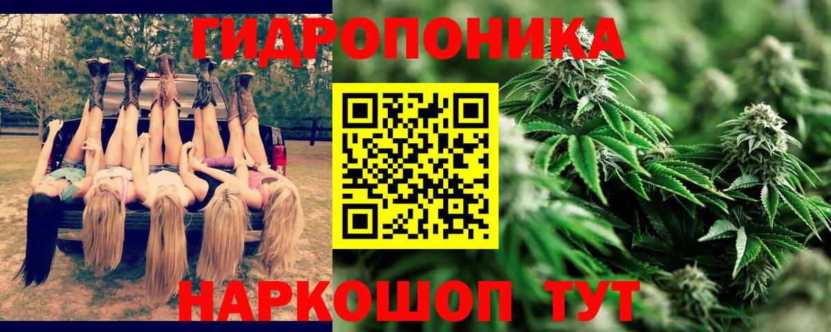 Шишки марихуана ГИДРОПОН  Бошки марихуана конопля  Шишки марихуана марихуана  Ялуторовск  Вход с VPN  Каннабис MAZAR 